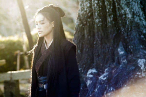 Image from the movie "The Assassin"
