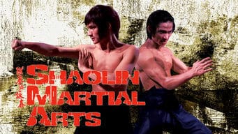 ShaolinMartialArts