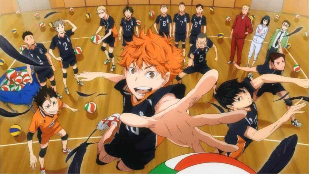 Haikyū!! (anime), Wiki Haikyuu!!