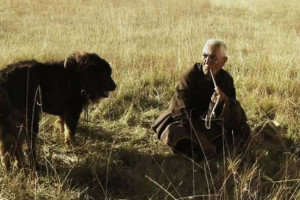 Old Dog Pema Tseden Review Asian Movie Pulse