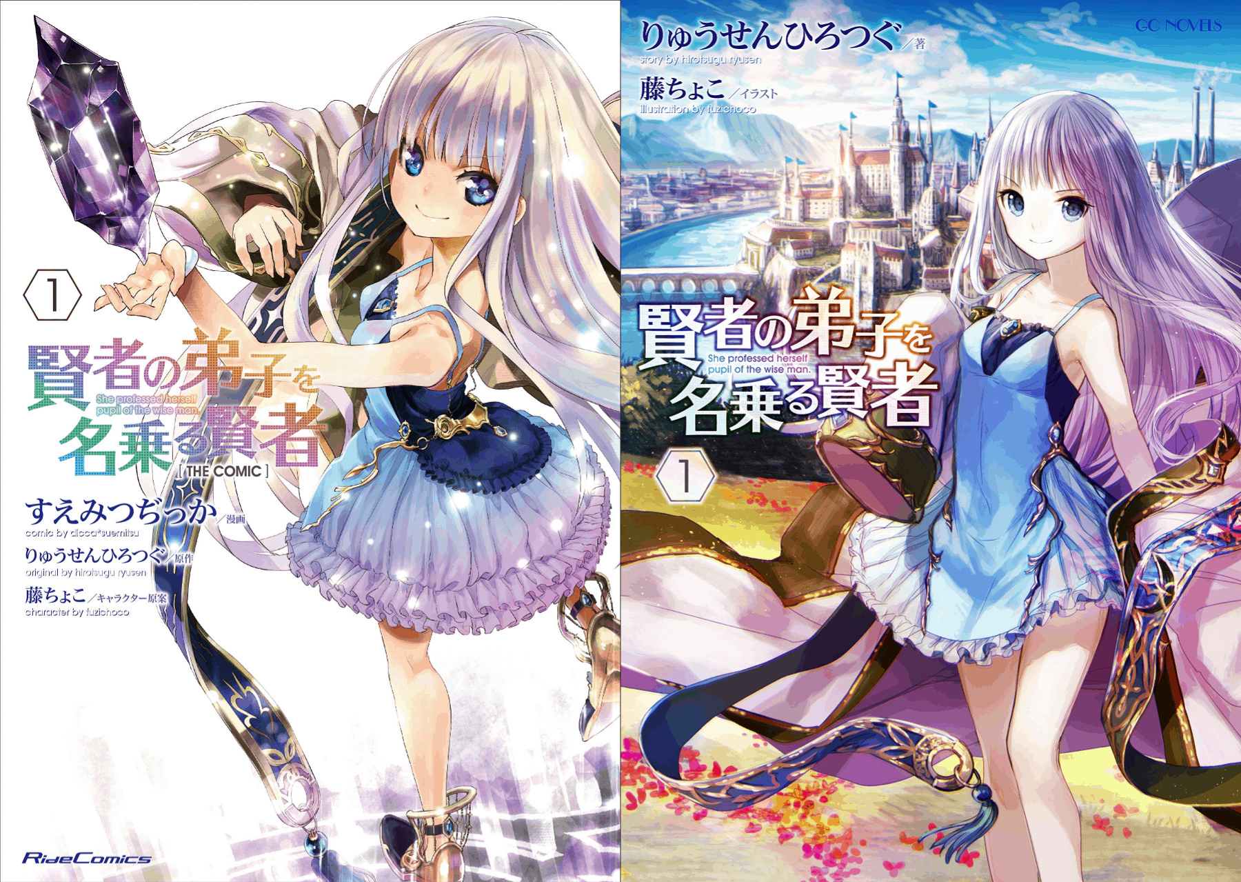 Featured image of post Sevens Light Novel Volume 11 An introduction to light novels what is a light novel