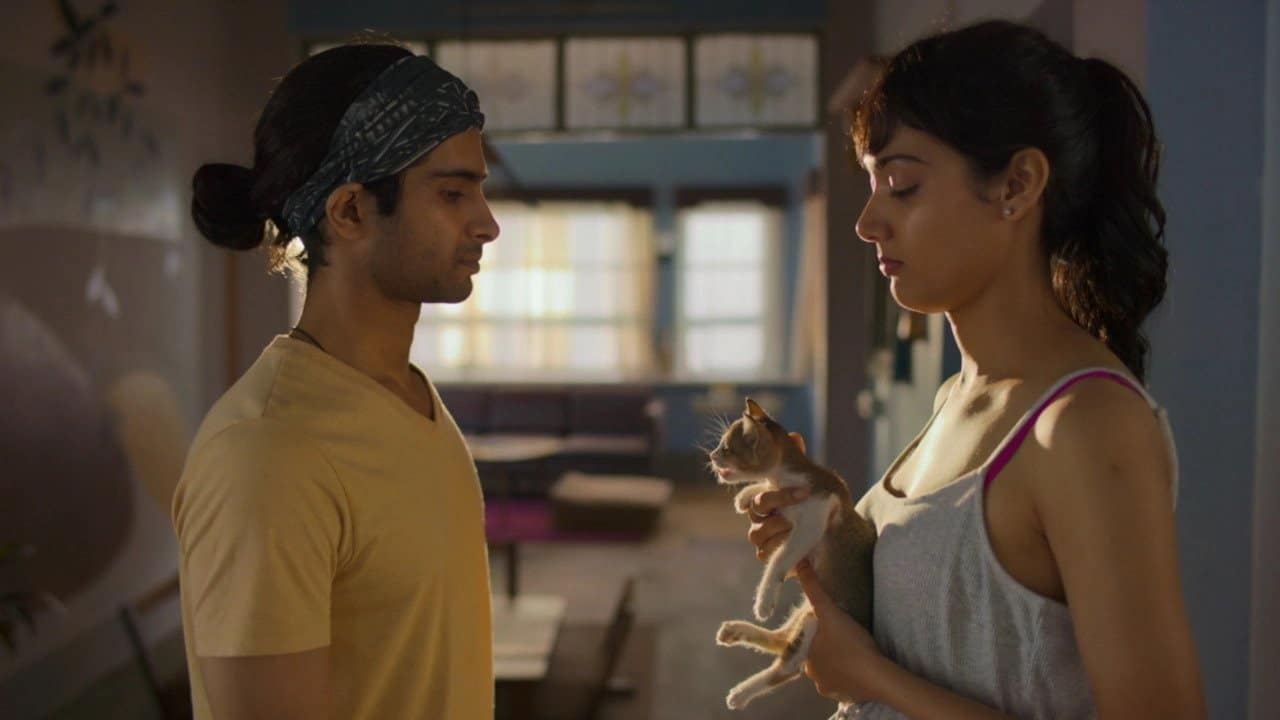 Film Review: Max, Min and Meowzaki (2022) by Padmakumar Narasimhamurthy