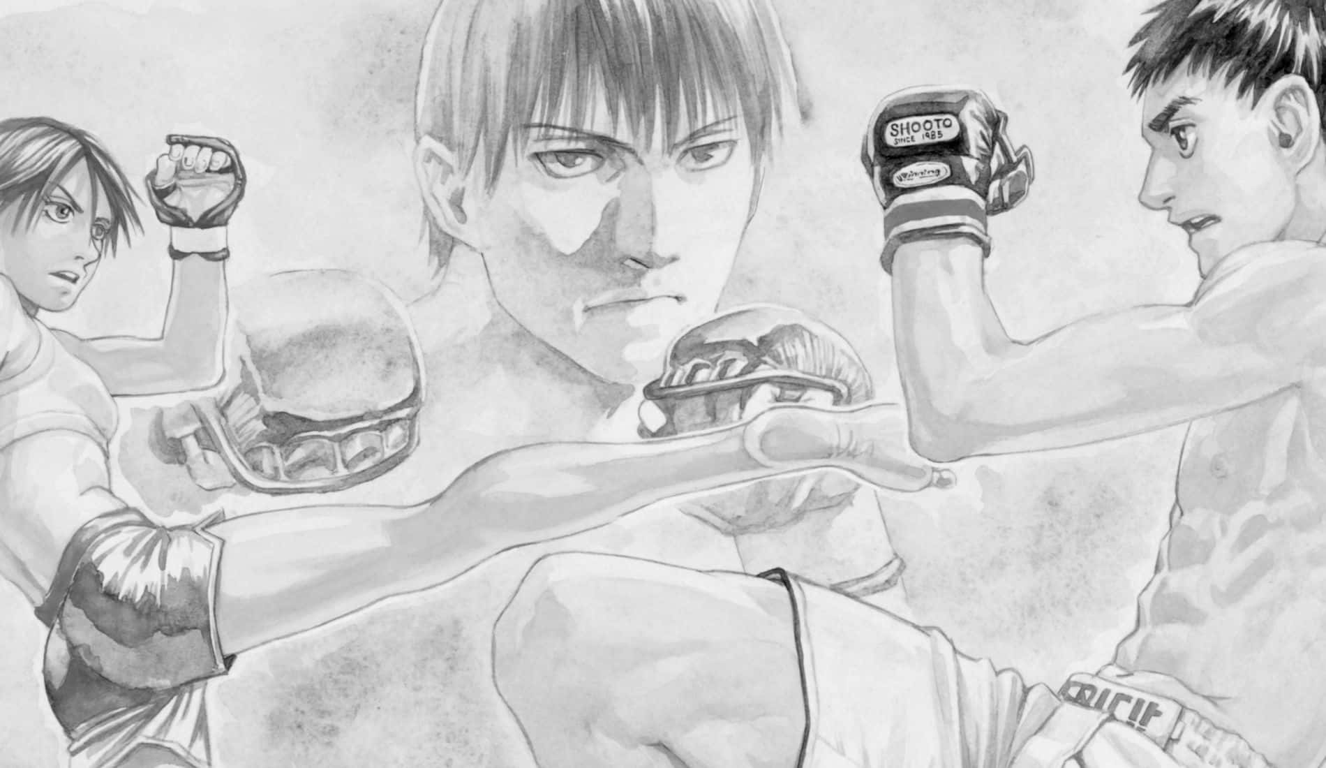 Interior artwork from the MMA Sports manga All-rounder Meguru