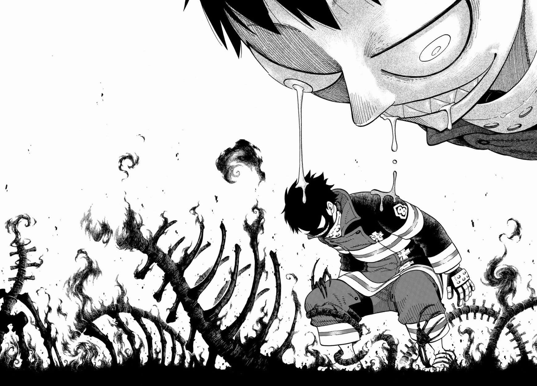 Fire Force Manga Coleção Completa