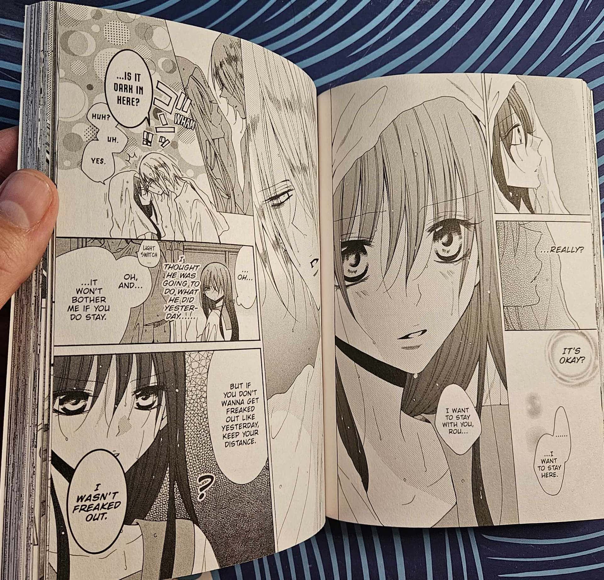 Stray Cat And Wolf Manga Manga Review: Stray Cat & Wolf Vol. 1 (2023) by Mitsubachi Miyuki