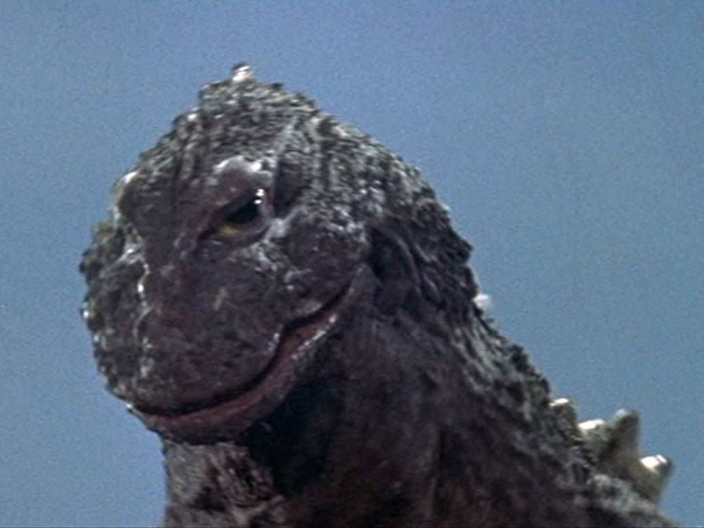 King Kong vs. Godzilla