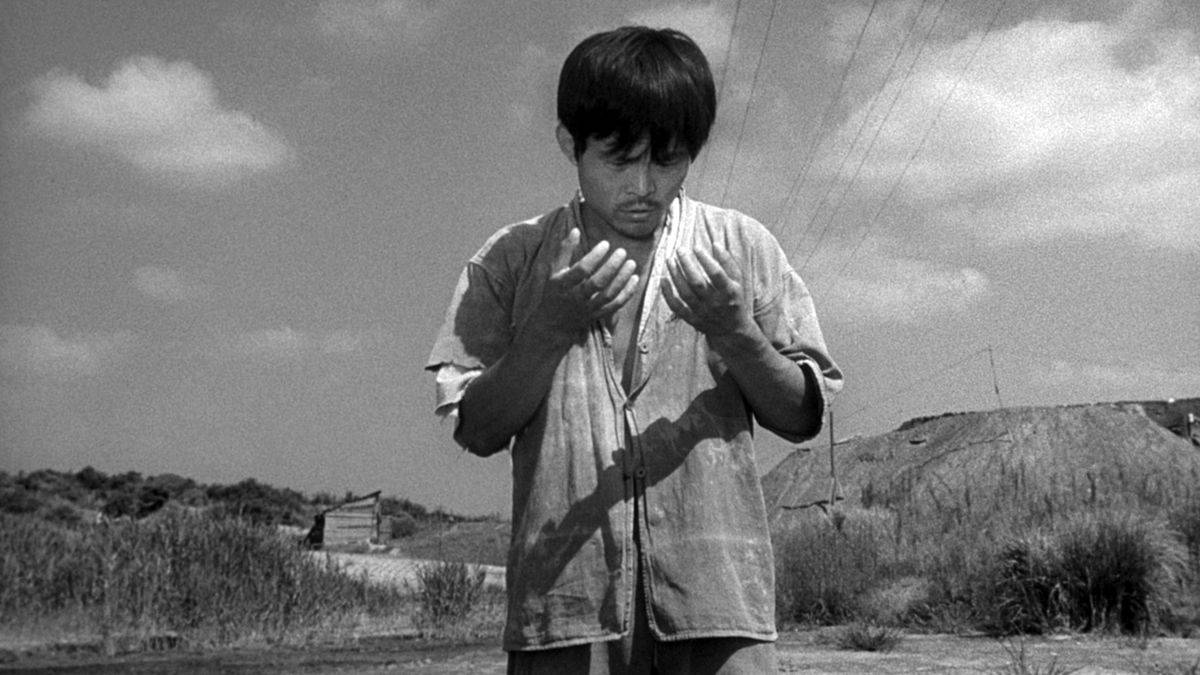 Pitfall Hisashi Igawa