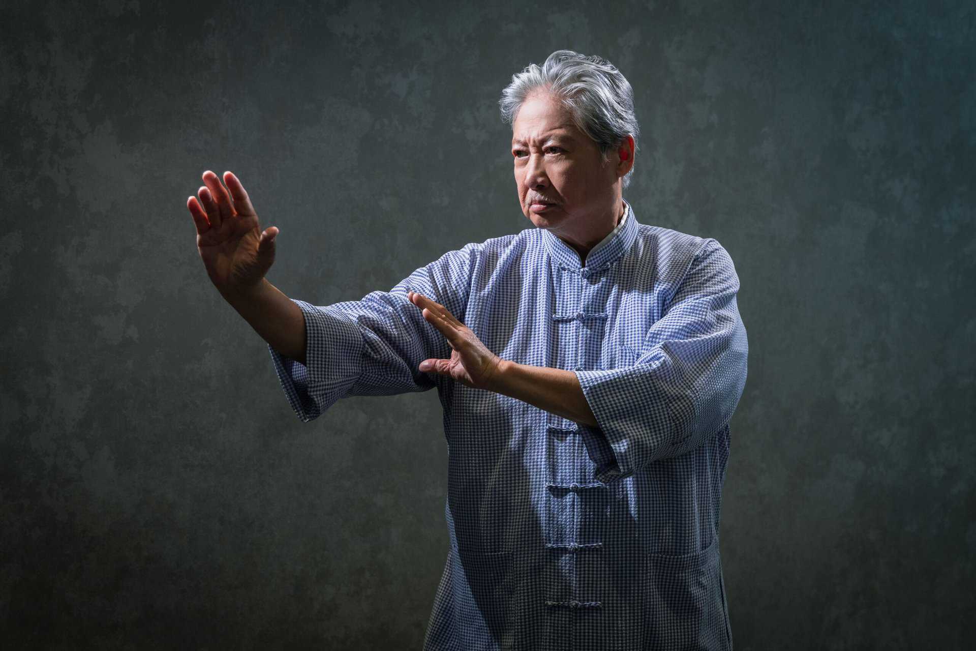 Sammo Hung portrait