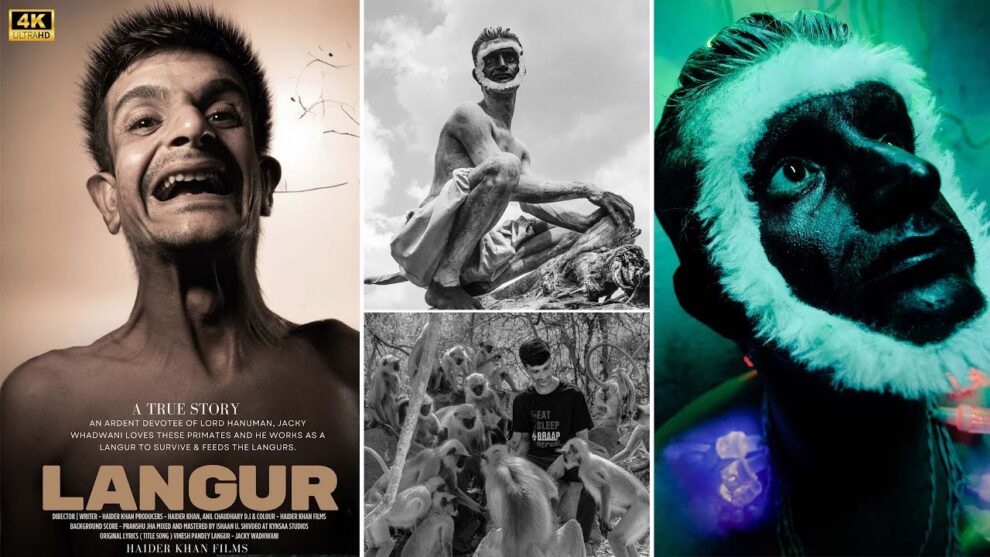 Langur poster and images