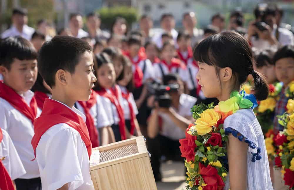 The Beetle Project North and South Korean kids