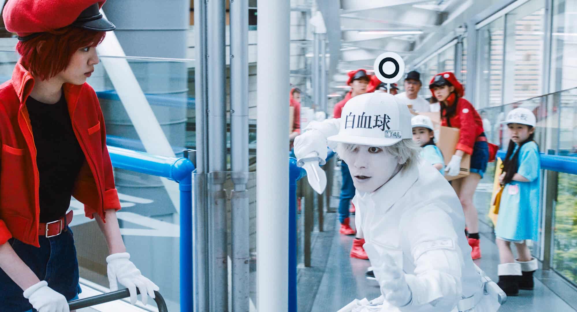 Cells at Work!