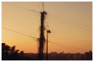 Tripoli A Tale of Three Cities still