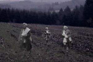 In Flanders Fields still