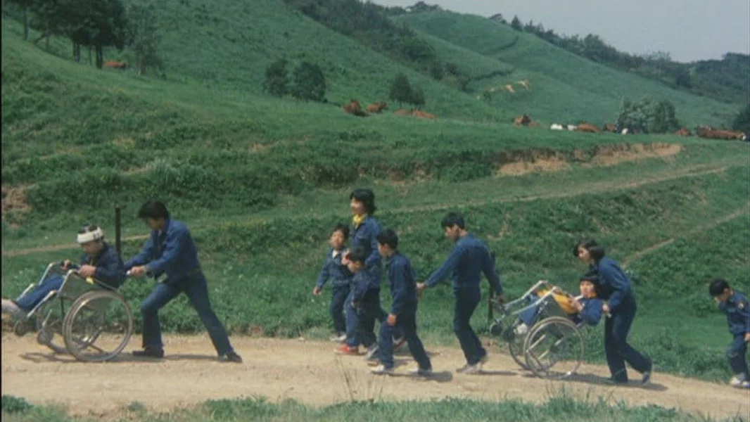 The Silk Tree Ballad (1974) by Mariko Miyagi Documentary Analysis