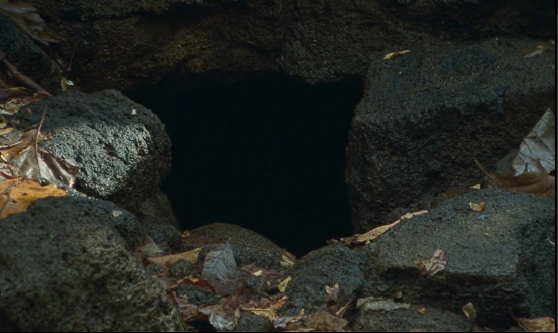 Another Scene: Placing Fantasy in Two Vietnamese Gay Films Part II