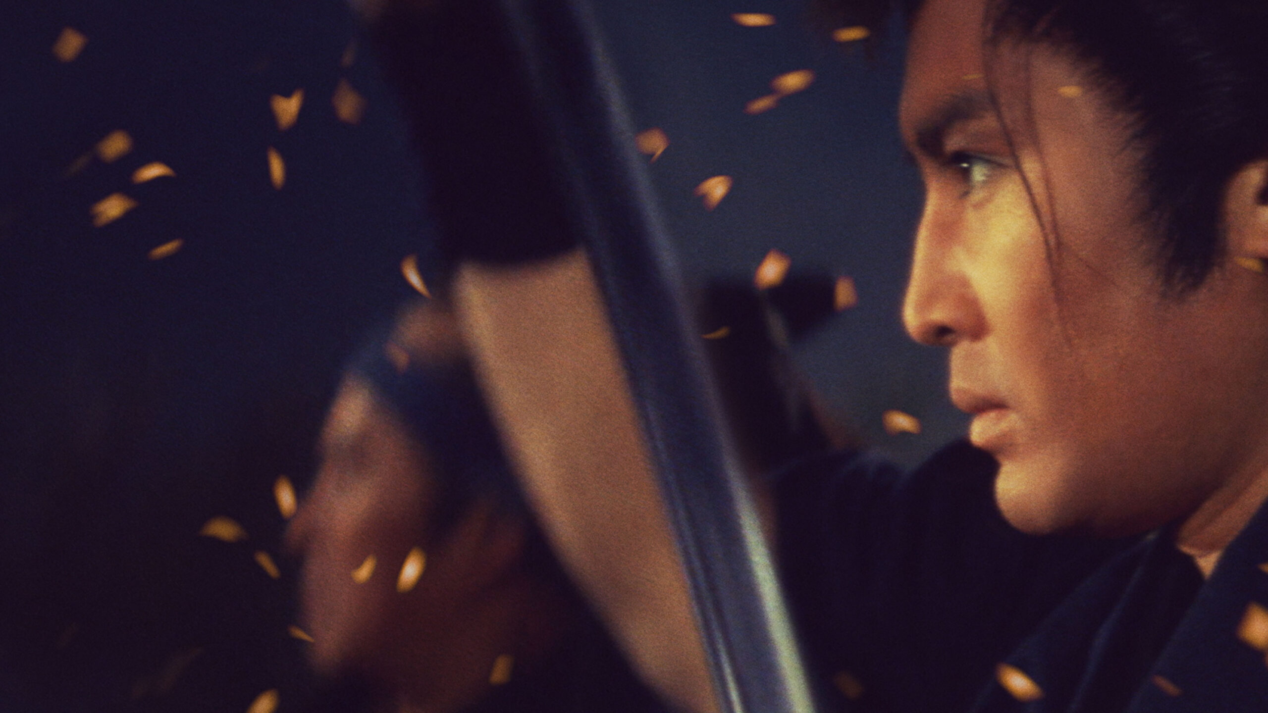 Tokijiro: Lone Yakuza (1966) by Tai Kato Film Review