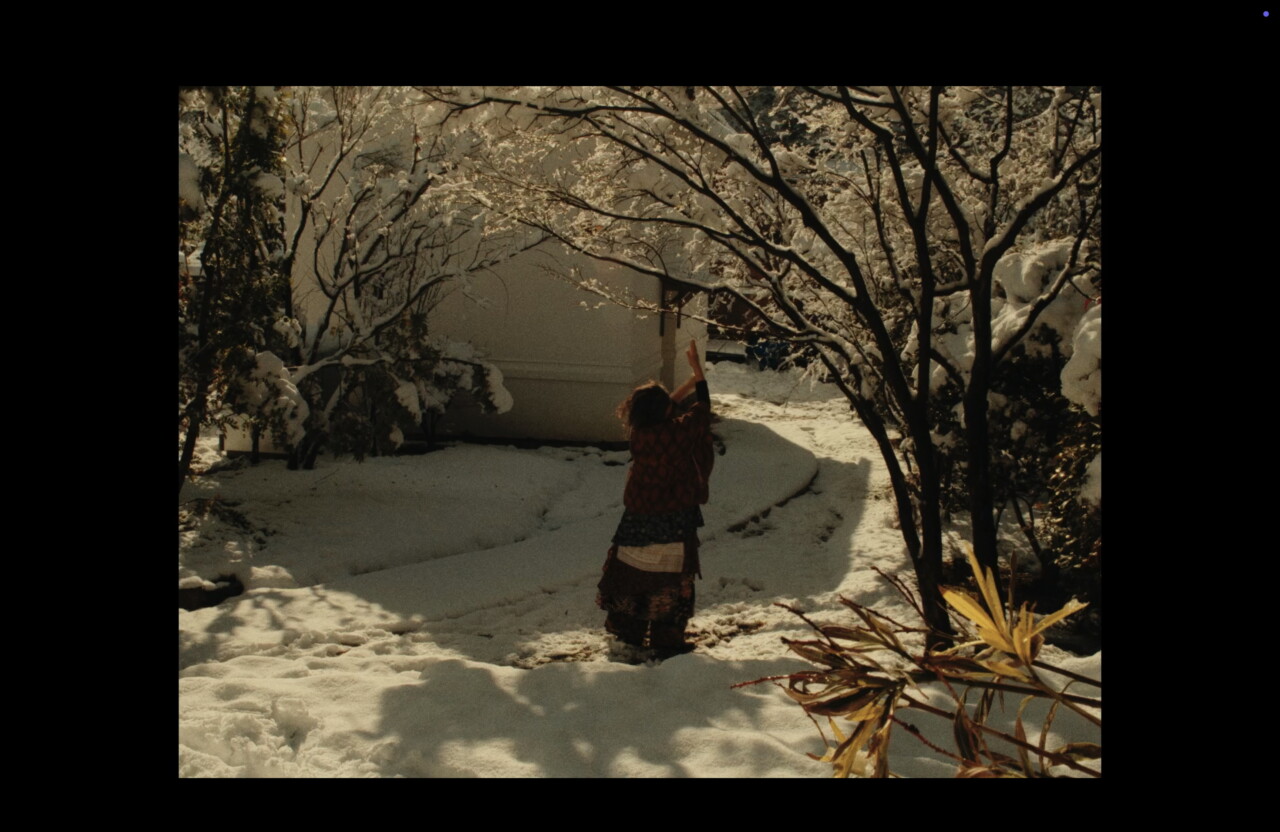 On Memories of Countless Days Away (2026) by Elysa Wendi and Liao Jiekai Film Review